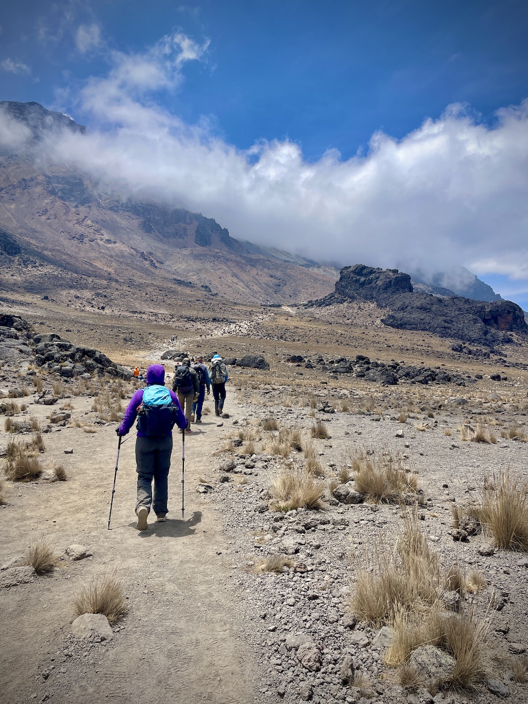 Kilimanjaro