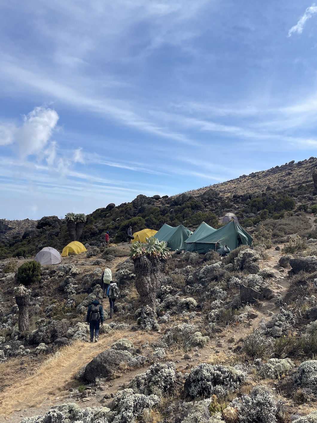 Kilimanjaro Lemosho