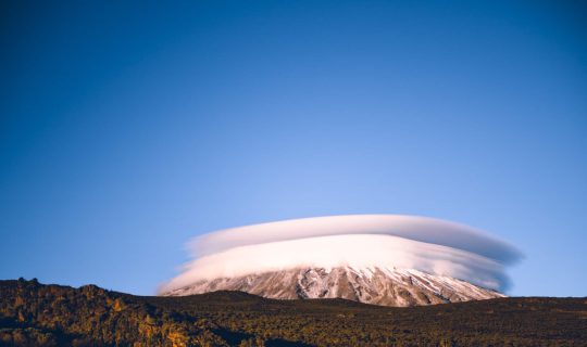Kilimanjaro